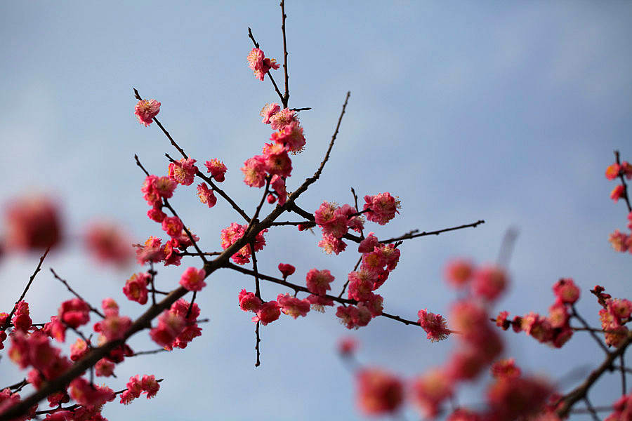 ��Ƭ 087_����.jpg