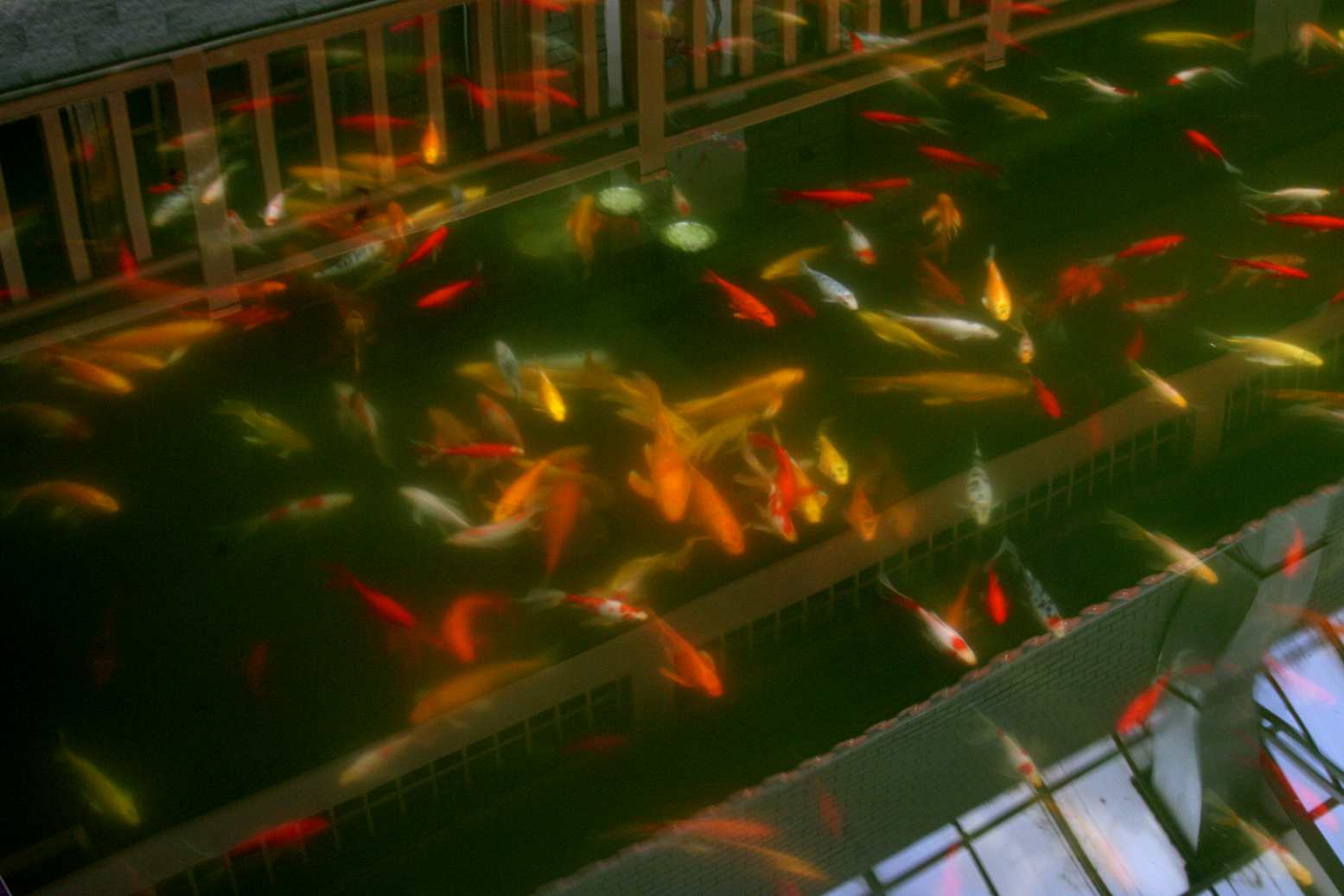 ��Ƭ 019_����.jpg