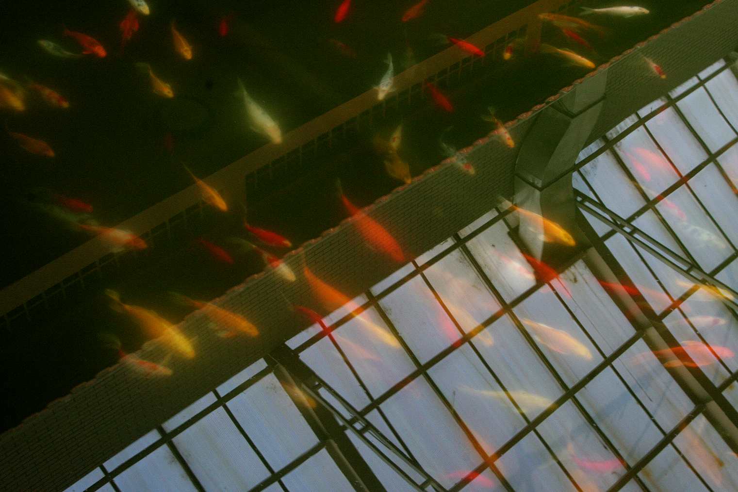 ��Ƭ 020_����.jpg