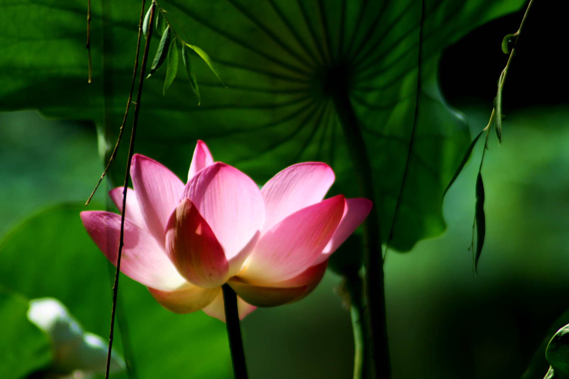 2014.7.7�� 003 (3)_����.jpg