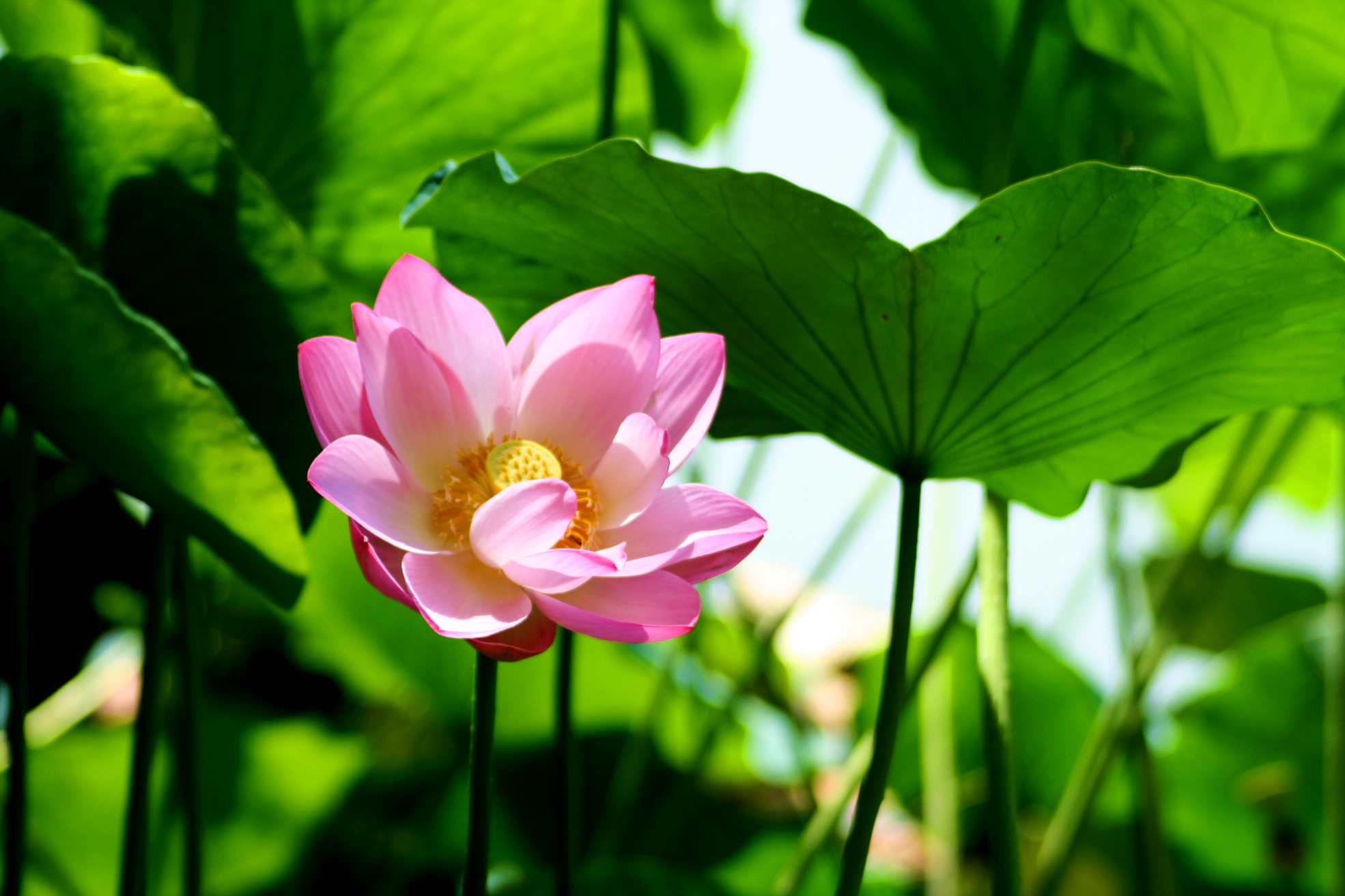 2014.7.7�� 003 (5)_����.jpg