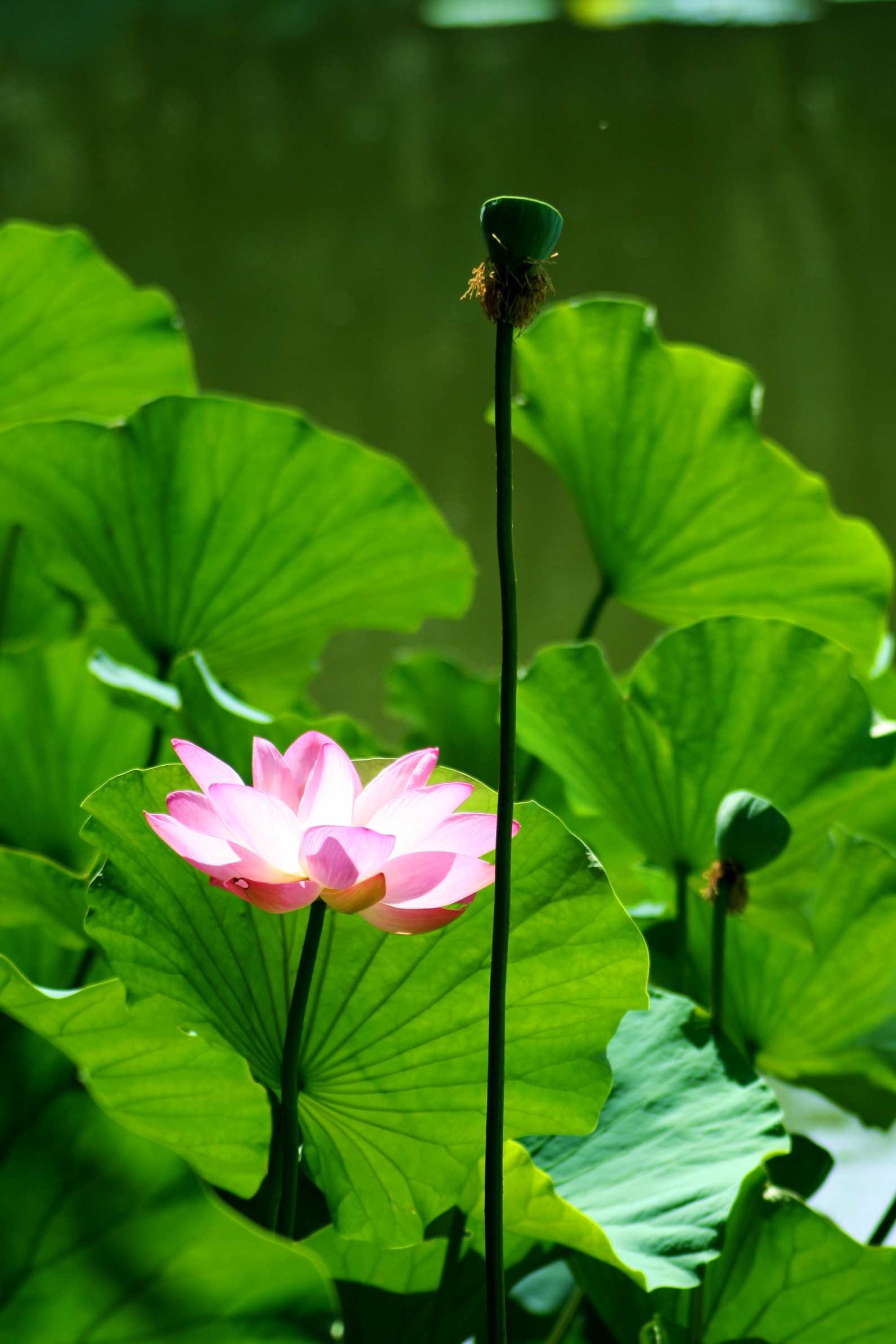 2014.7.7�� 003 (8)_����.jpg