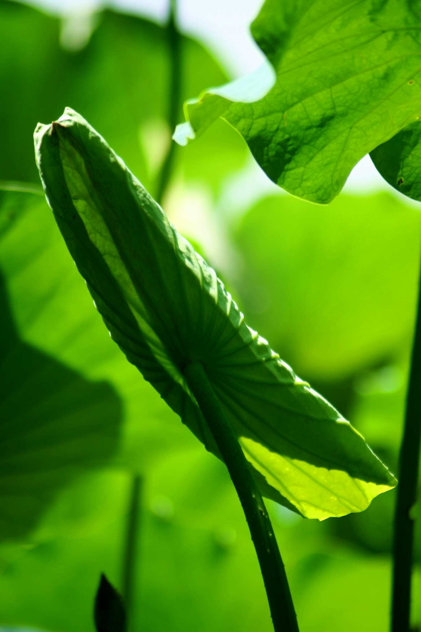 2014.7.7�� 003 (9)_����.jpg