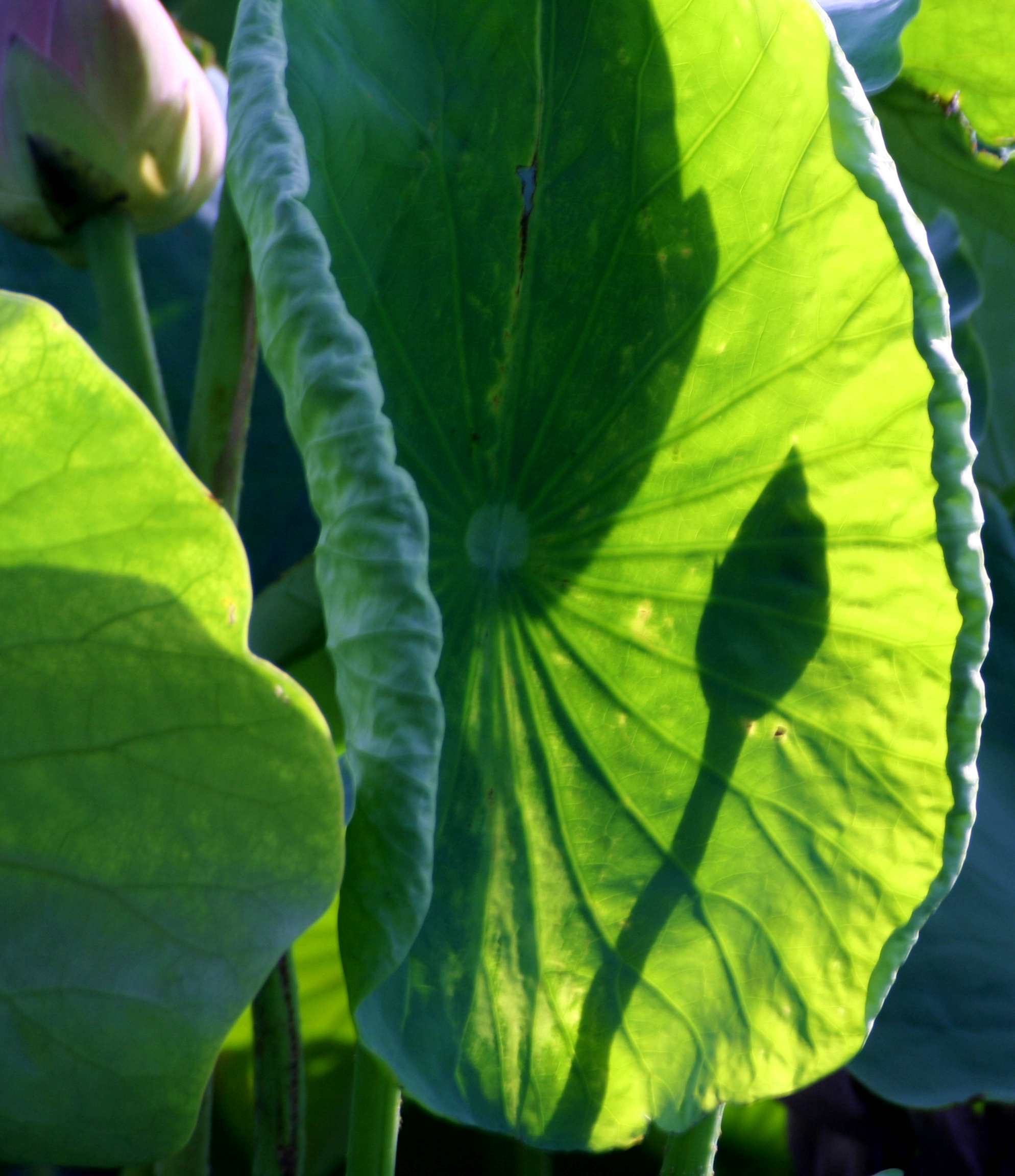 2014.7.7�� 003 (177)_����.jpg