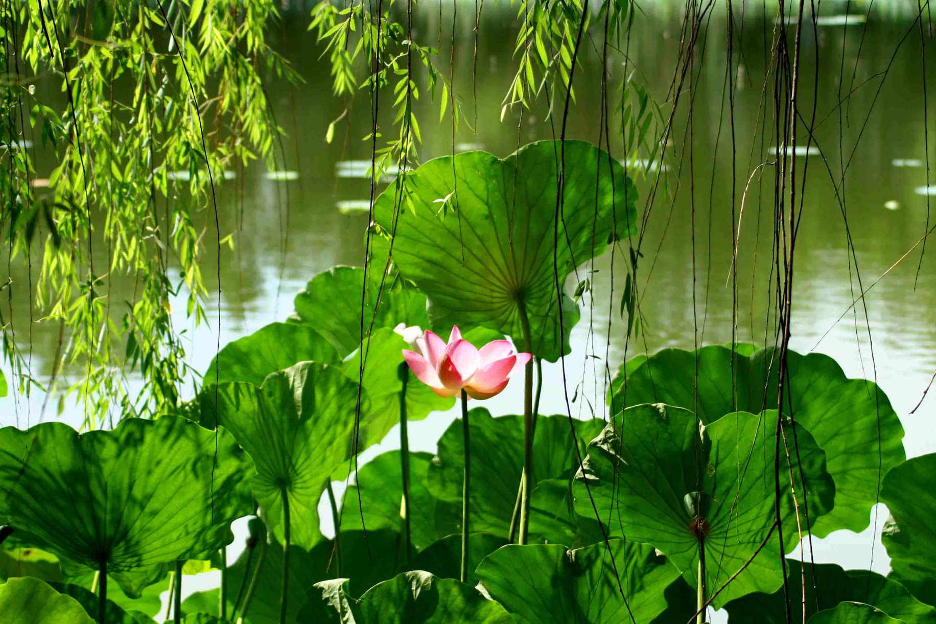 2014.7.7�� 003_����.jpg