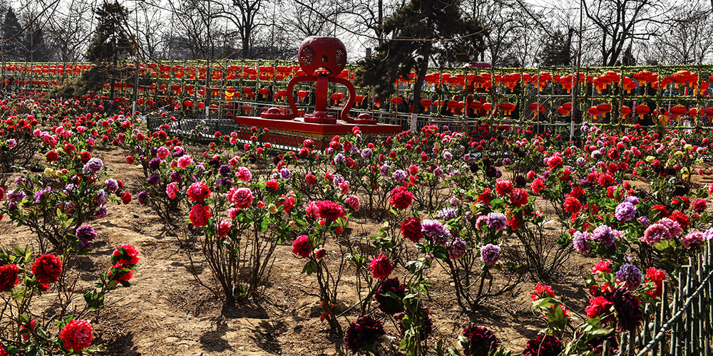 2015��2��23��̫ԭ2 a0371.jpg