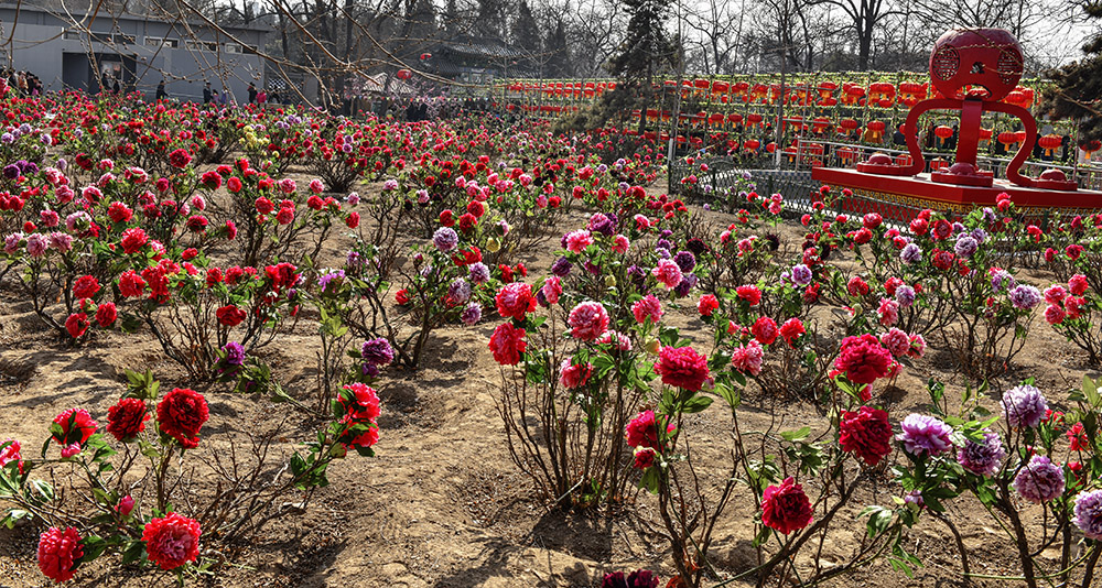 2015��2��23��̫ԭ2 a0391.jpg