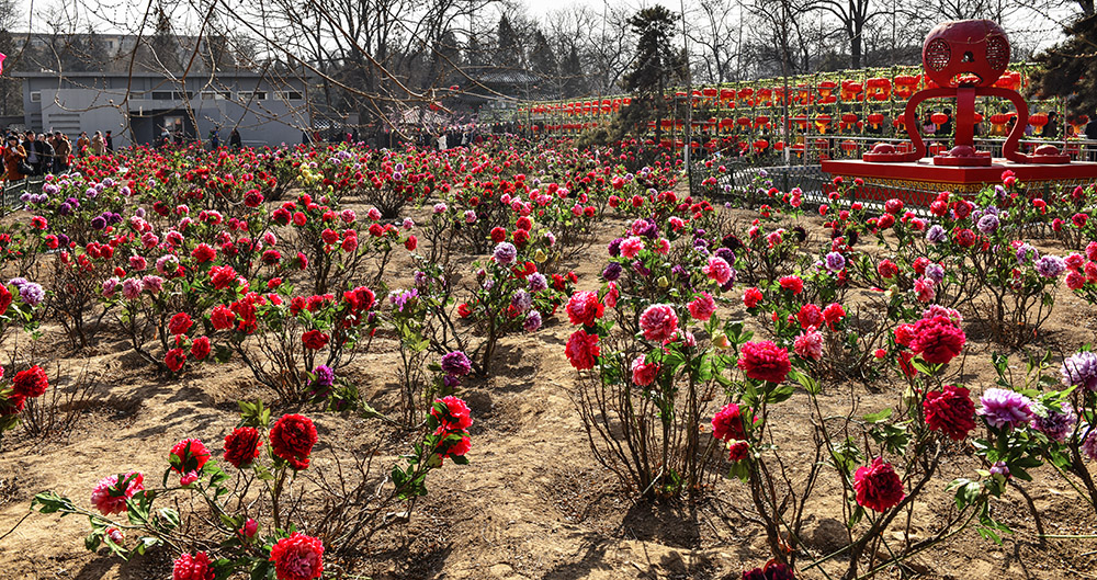 2015��2��23��̫ԭ2 a0381.jpg