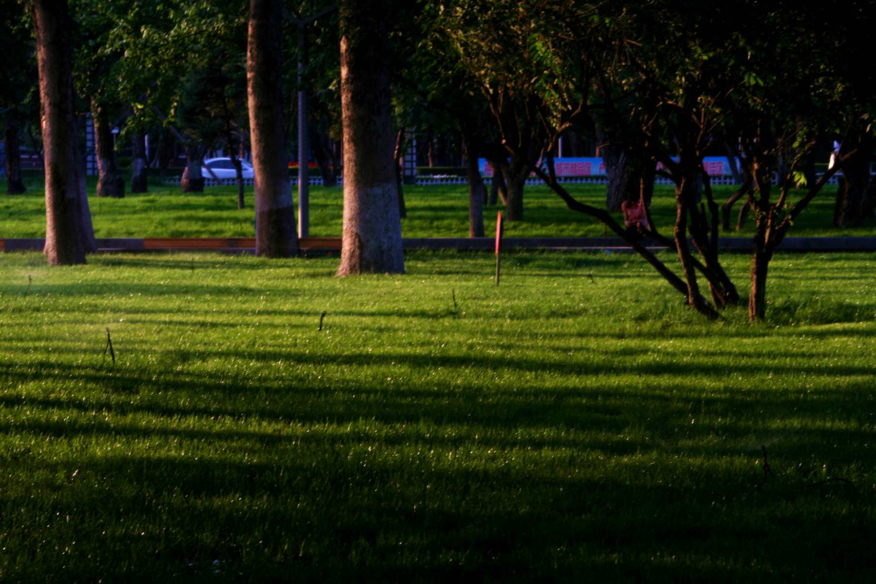 1 (17)_����.jpg