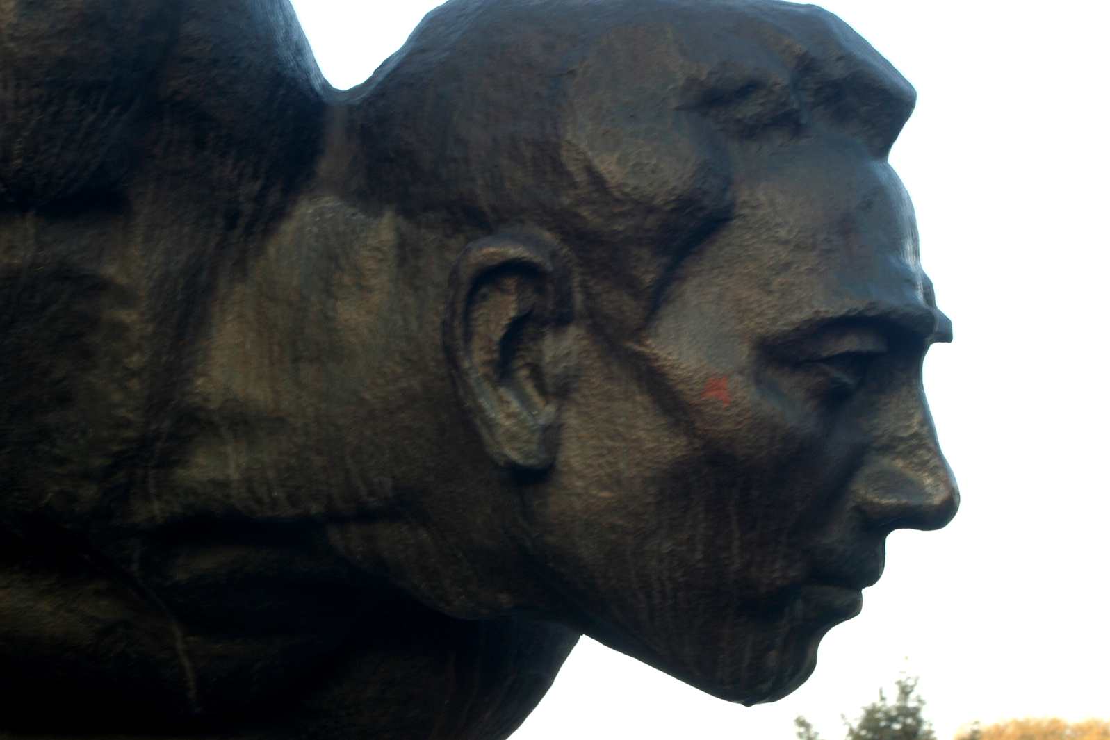 ��Ƭ 295_����.jpg