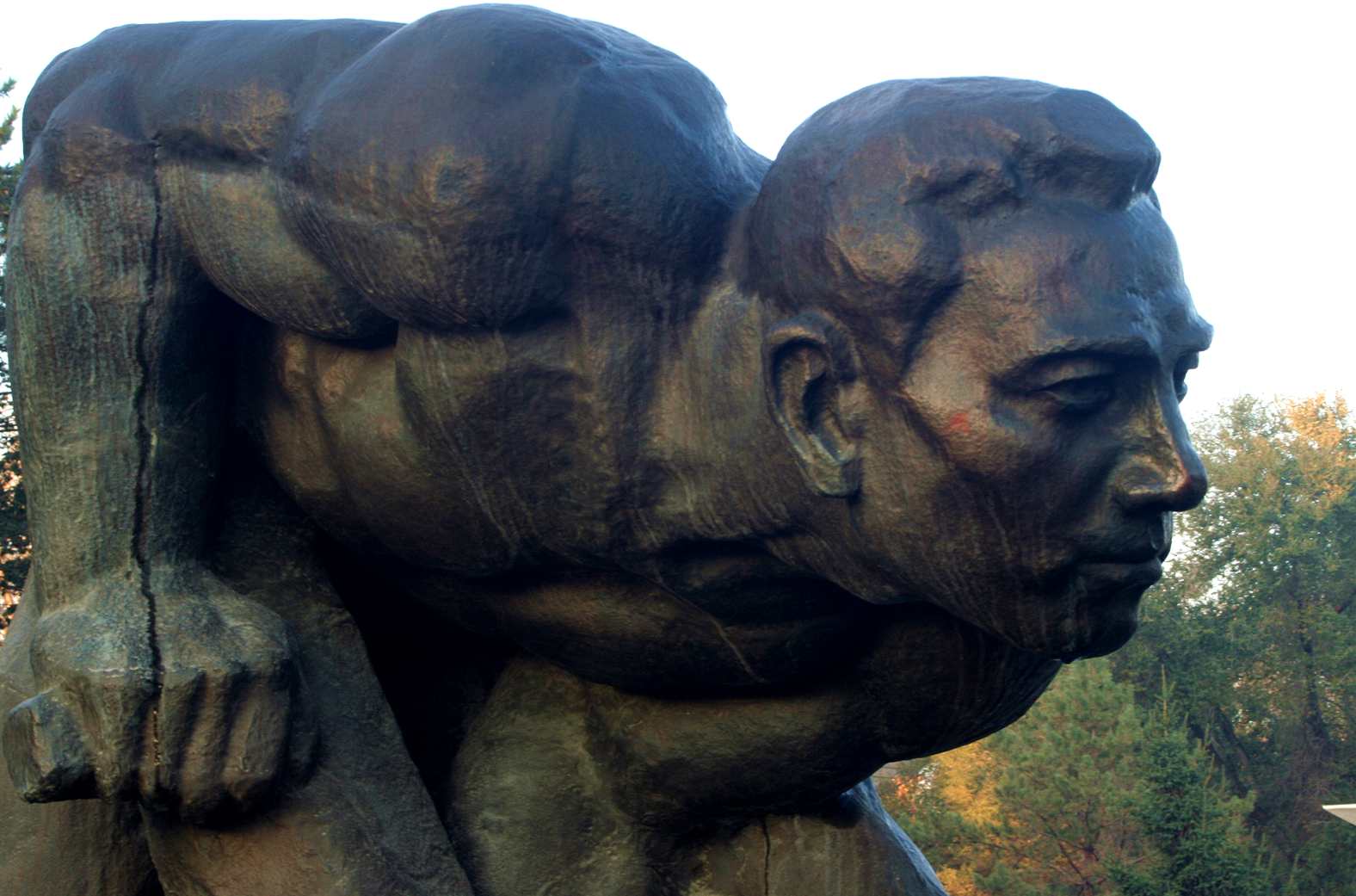 ��Ƭ 296_����.jpg