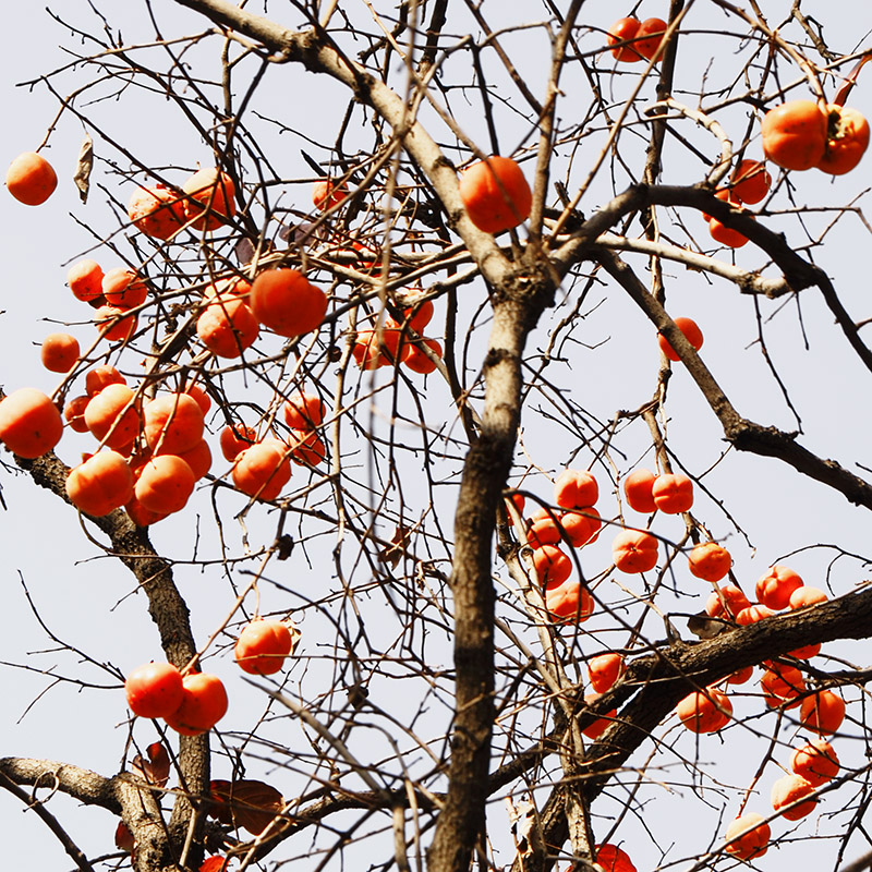 2014��11��9��a 0731.jpg