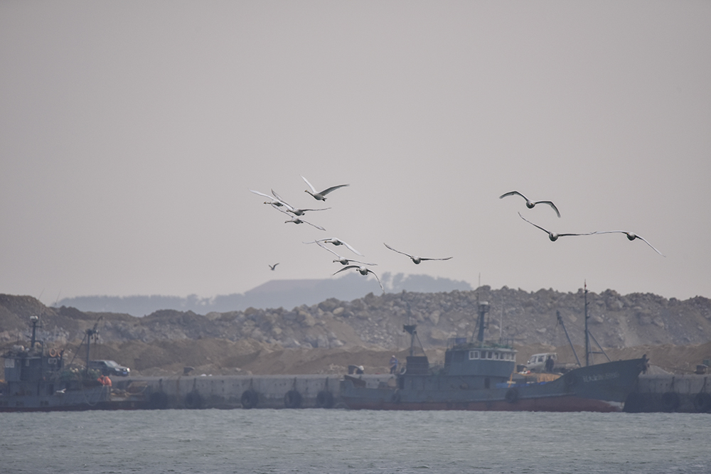 2015��1��12��ɽ�� a1121.jpg