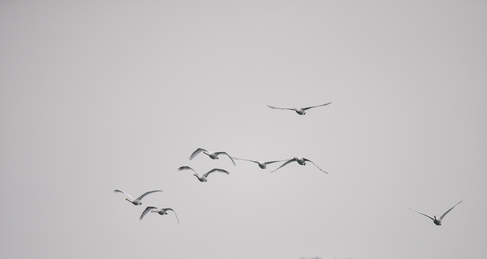 2015��1��12��ɽ�� a1281.jpg