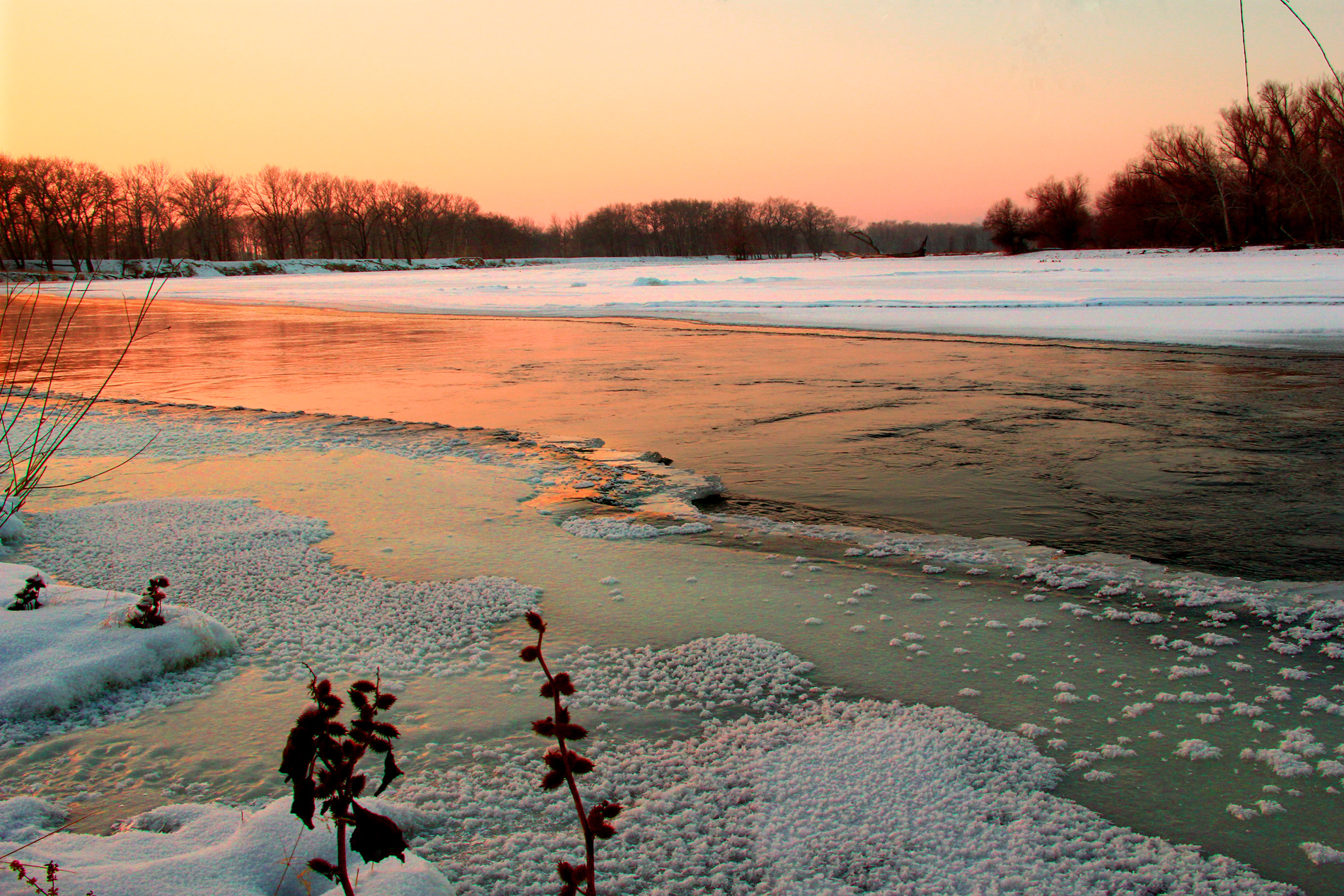 ����Ϧ�գ����� (1).jpg