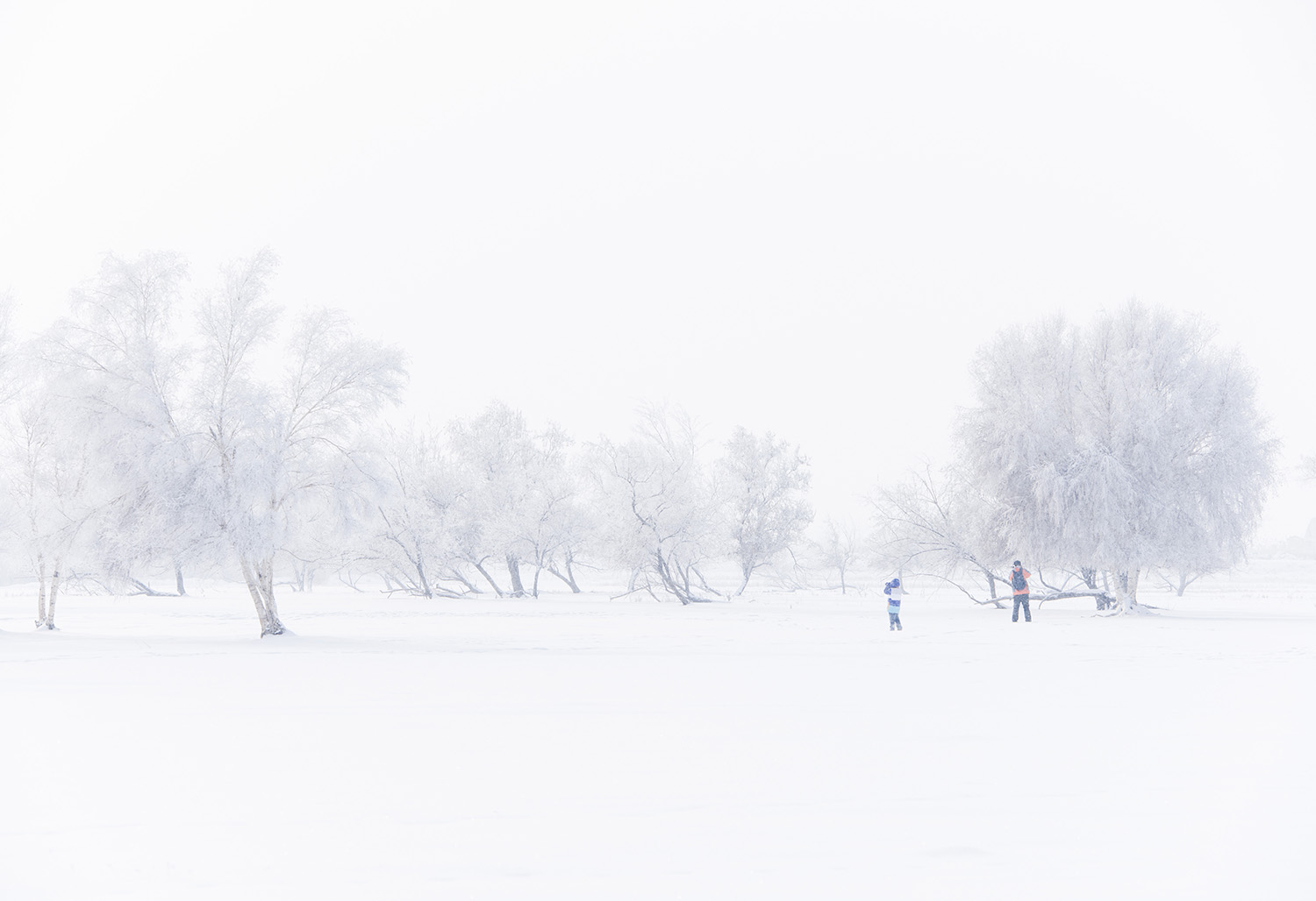 �׾��������ڡ