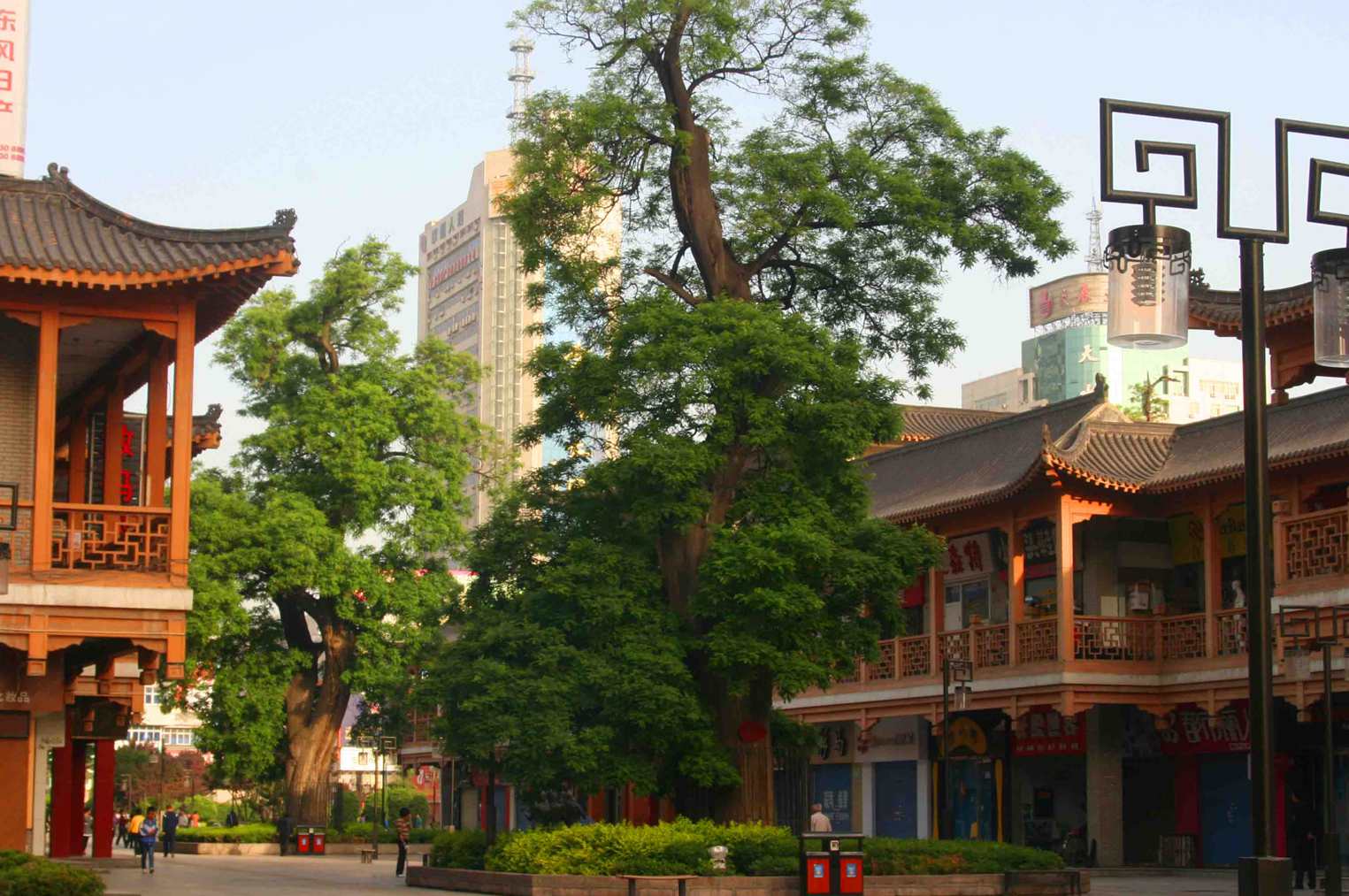 ������ (201) ����_����.jpg