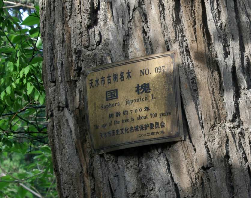 ������ (212)_����.jpg