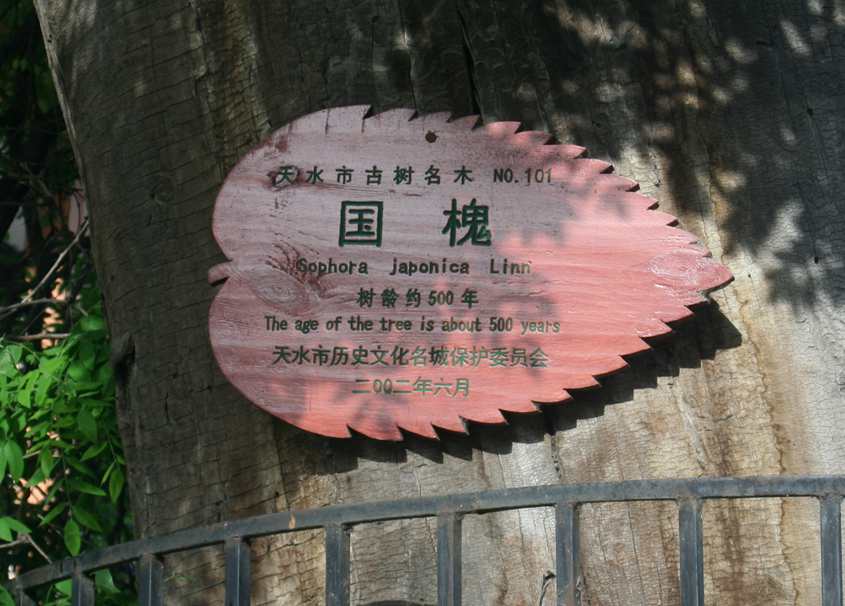 ������ (216)_����.jpg