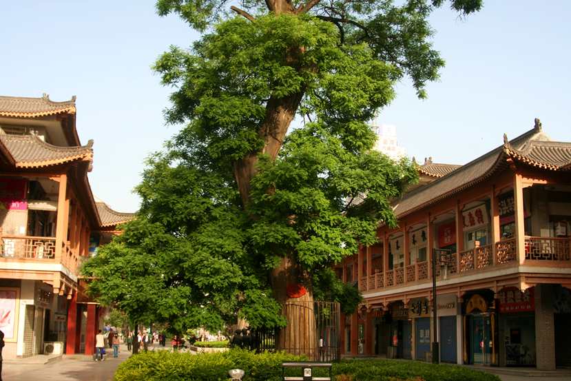 ������ (218)_����.jpg