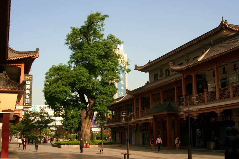 ������ (220)_����.jpg