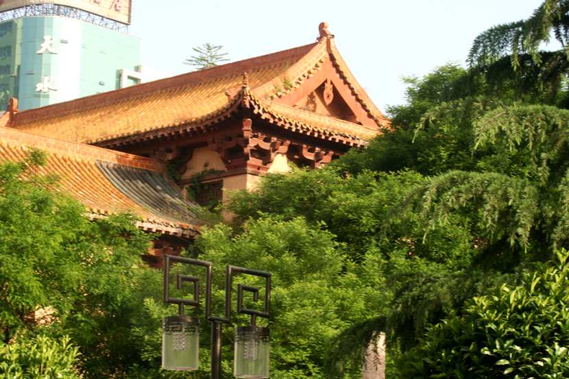 ������ (221)_����.jpg