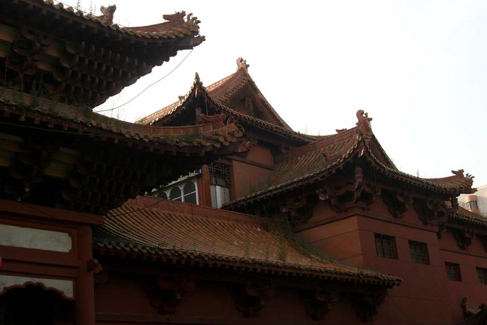 ������ (225)_����.jpg