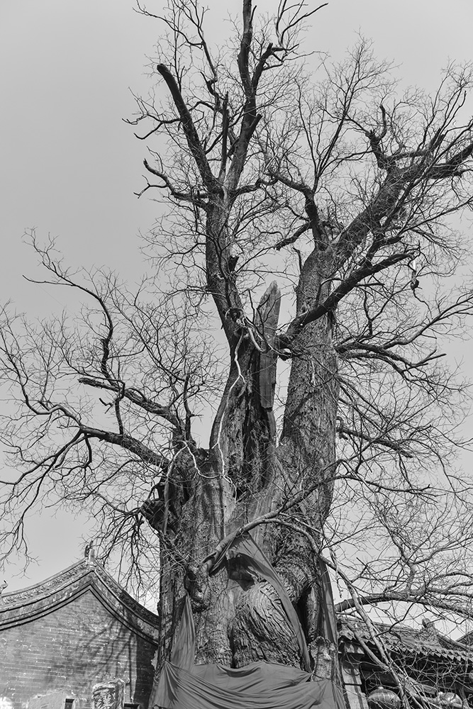 2015��2��21�� a2431.jpg