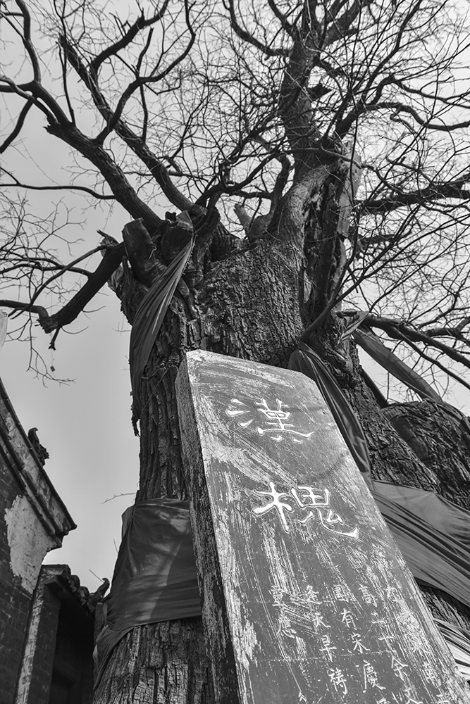 2015��2��21��a 2361.jpg