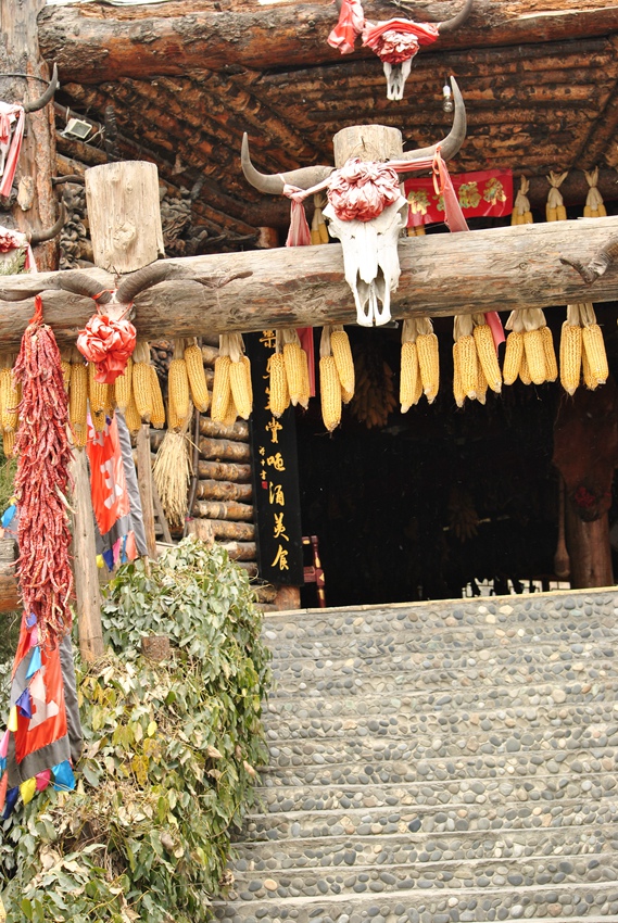 ��Ƭ 1_����.jpg