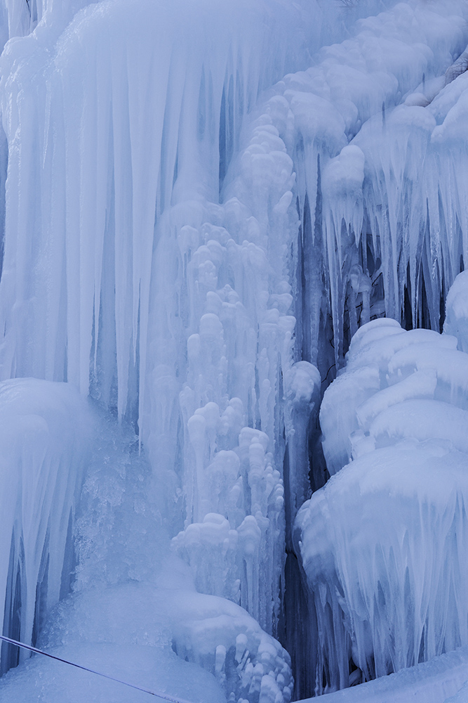 2015��1��2�ձ���gg 2891.jpg