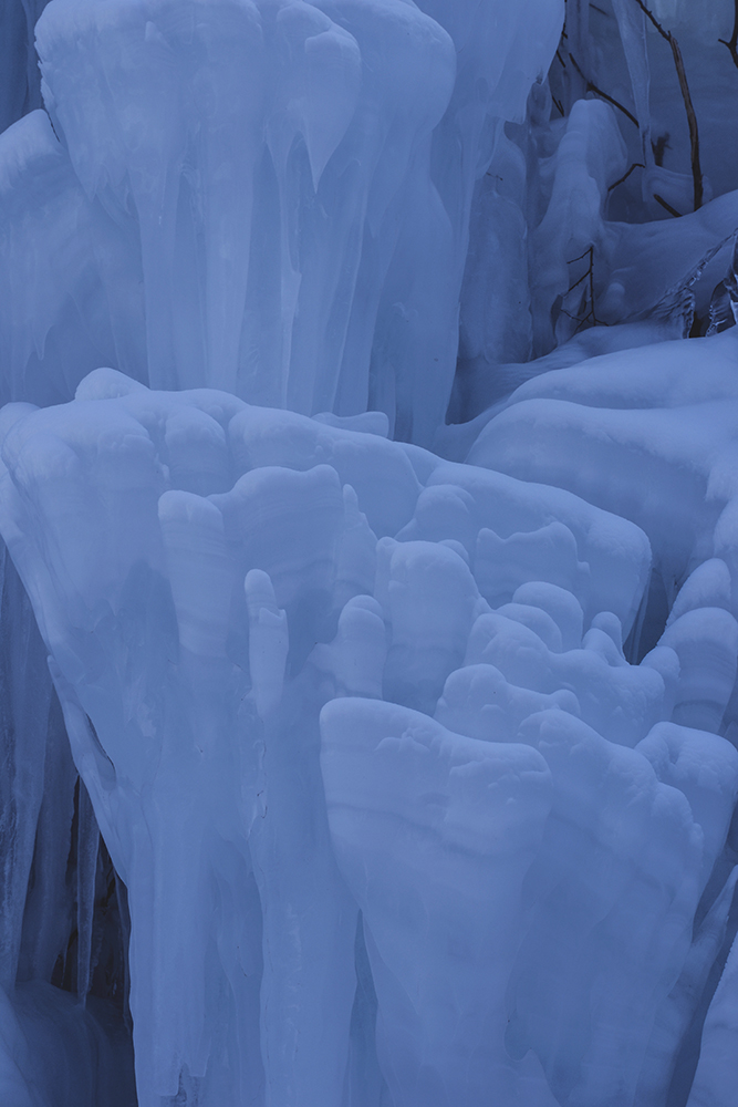 2015��1��2�ձ���gg a2841.jpg