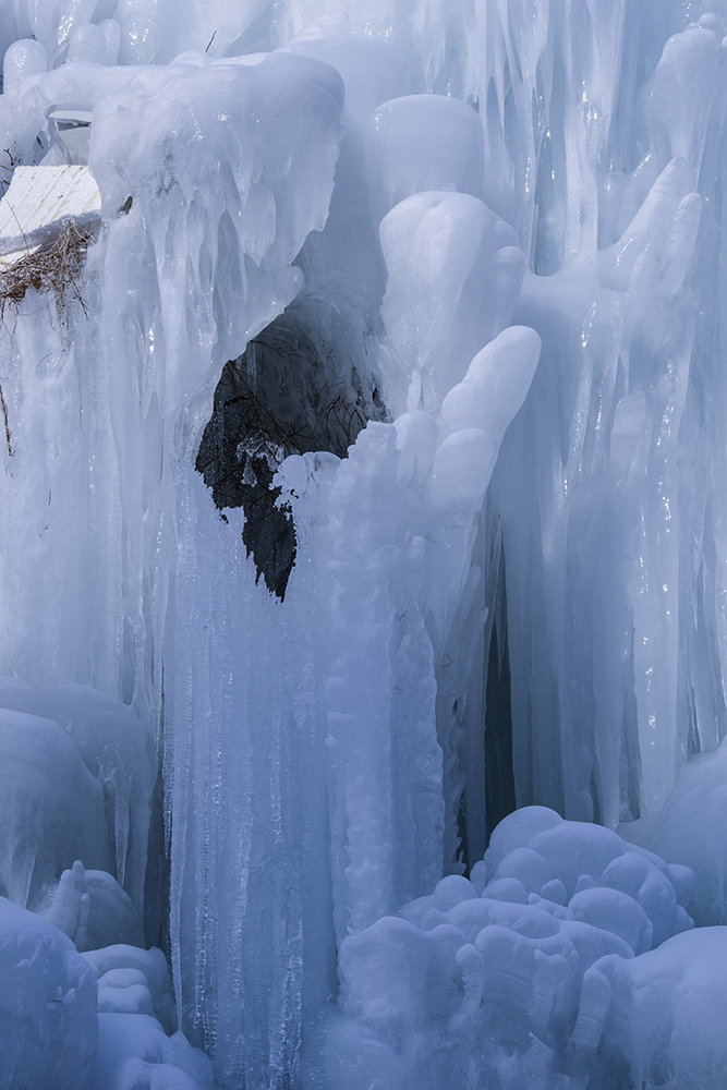 2015��1��2�ձ���gg a2761.jpg