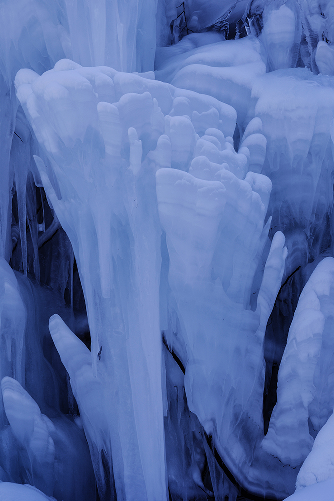 2015��1��2�ձ���gg a2971.jpg