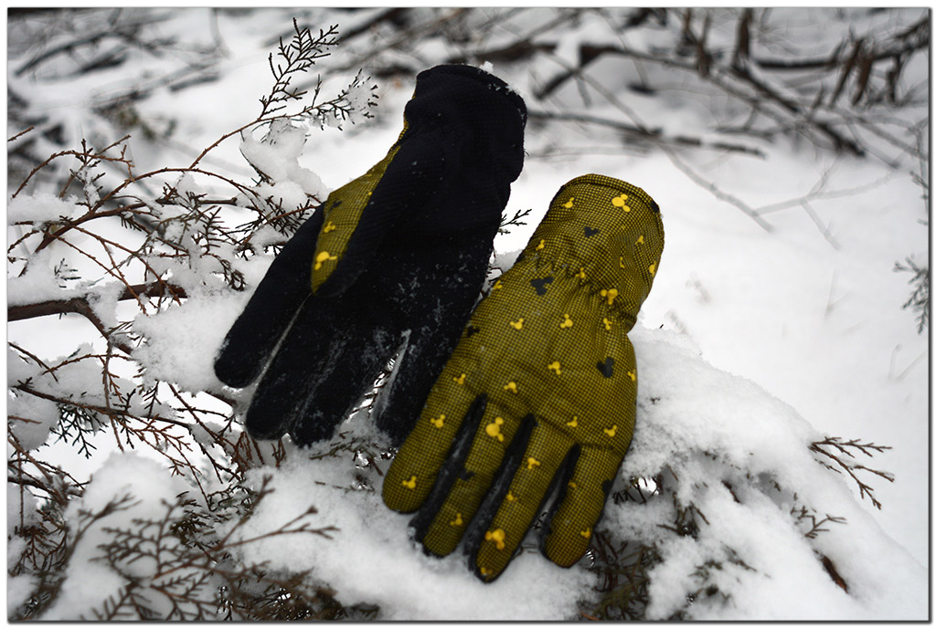 DSC_4243 ����.jpg