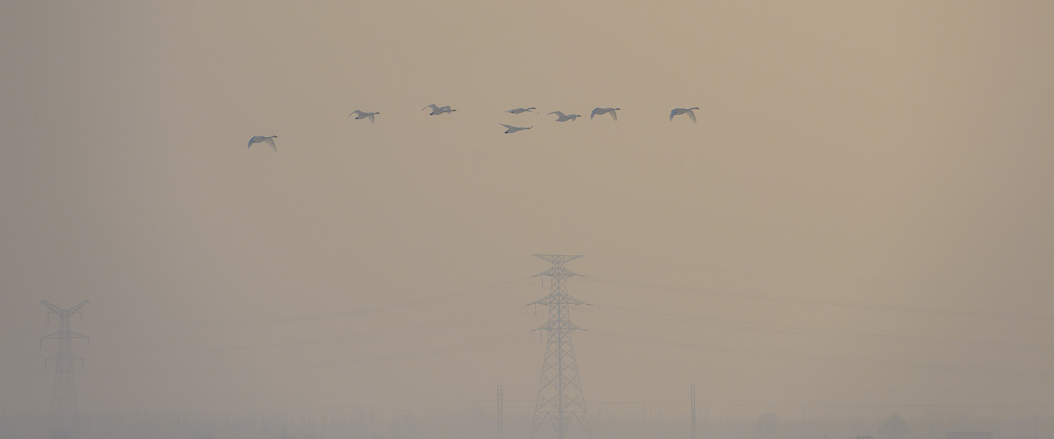 ����Ƶ������Ϸ���