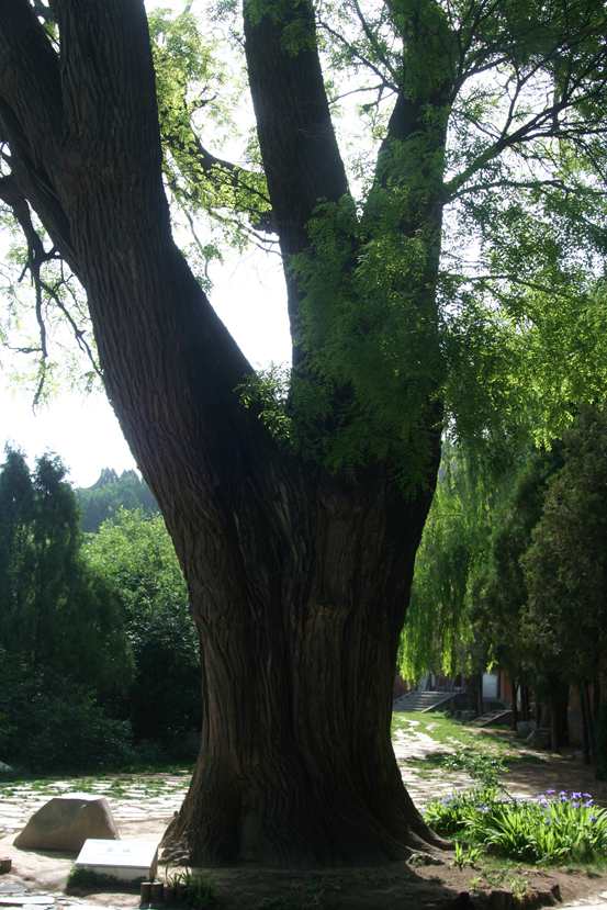 ������ (228)_����.jpg