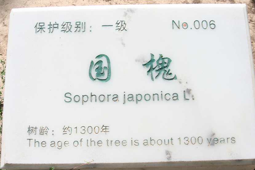 ������ (231)_����.jpg