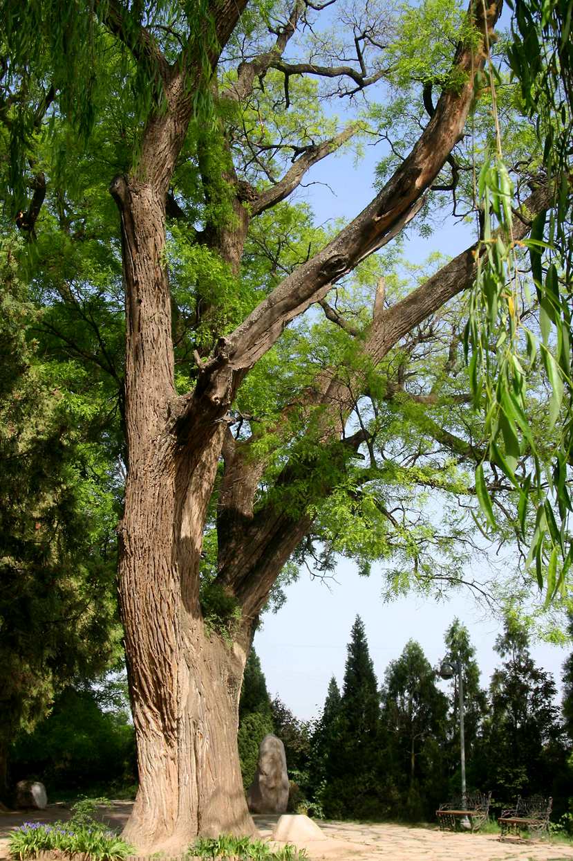 ������ (232) ����_����.jpg