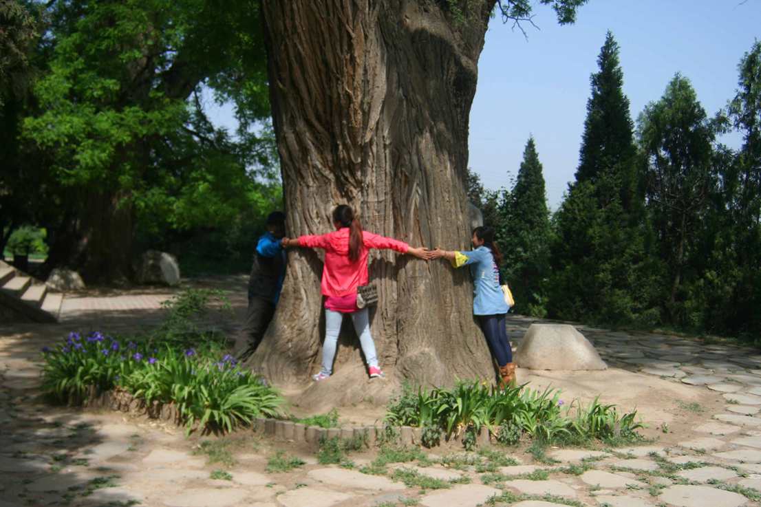 ������ (267) ����_����.jpg