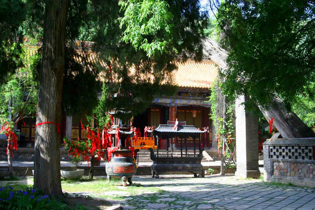 ������ (237) ����_����.jpg