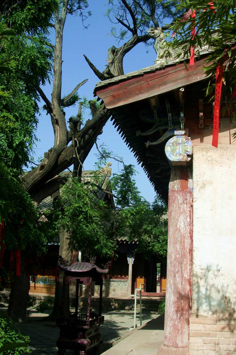 ������ (238)_����.jpg