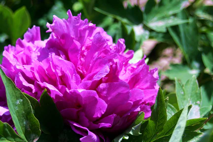 ������ (251)_����.jpg