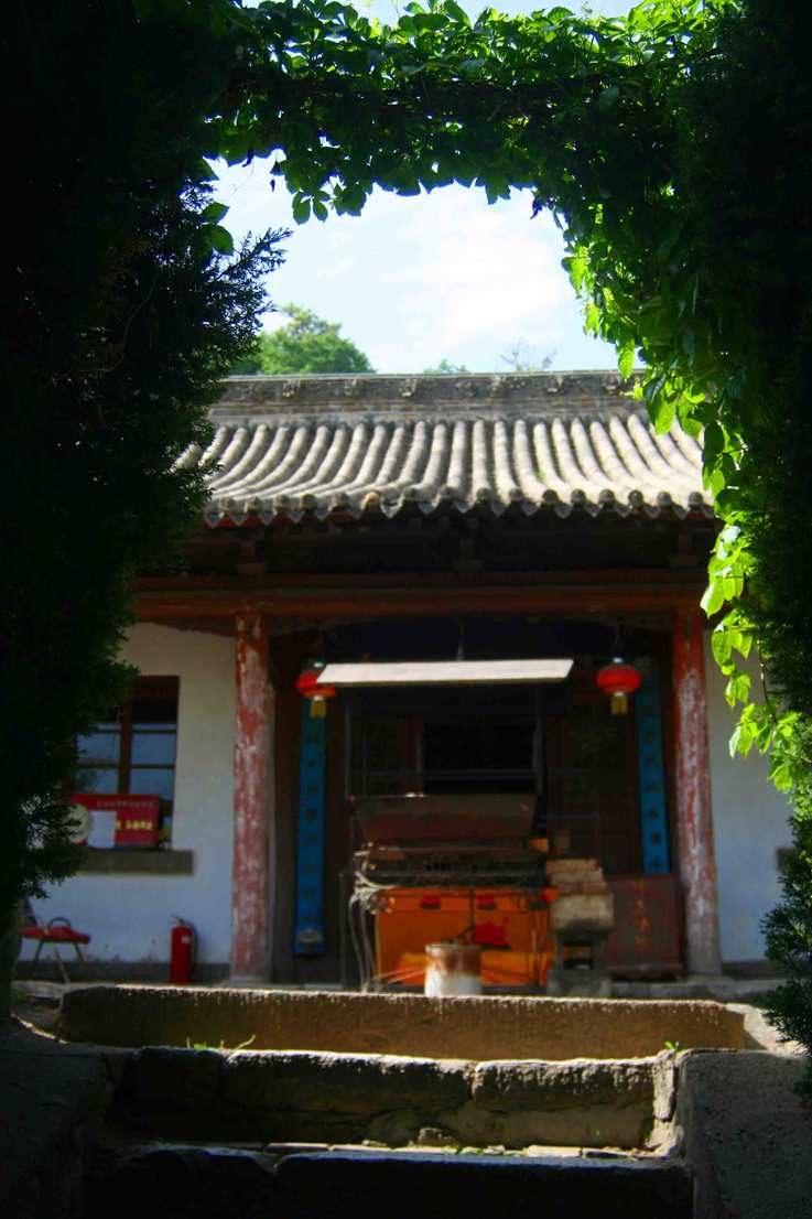 ������ (252) ����_����.jpg