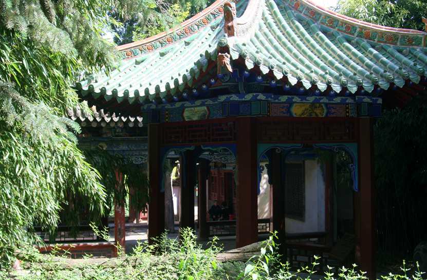 ������ (257)_����.jpg