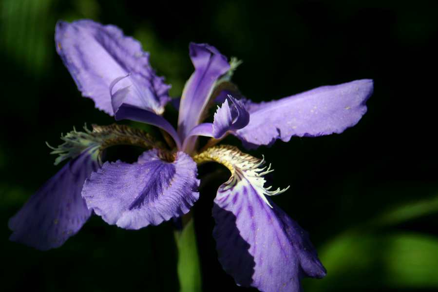 ������ (261)_����.jpg