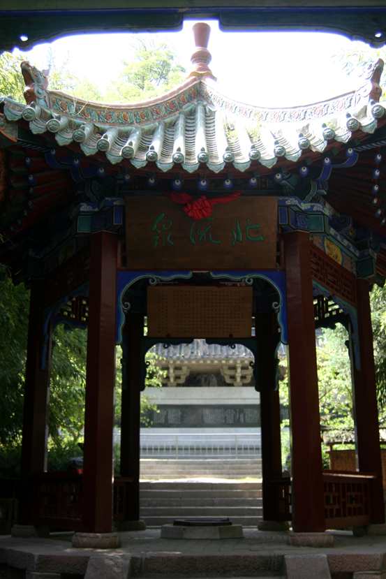 ������ (264)_����.jpg