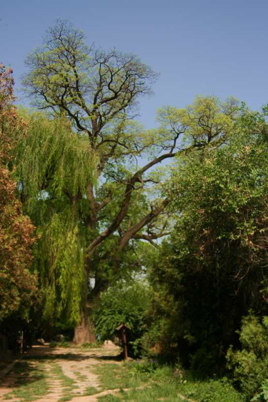 ������ (266)_����.jpg