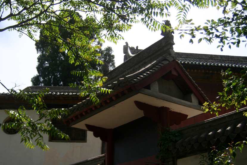 ������ (272)_����.jpg