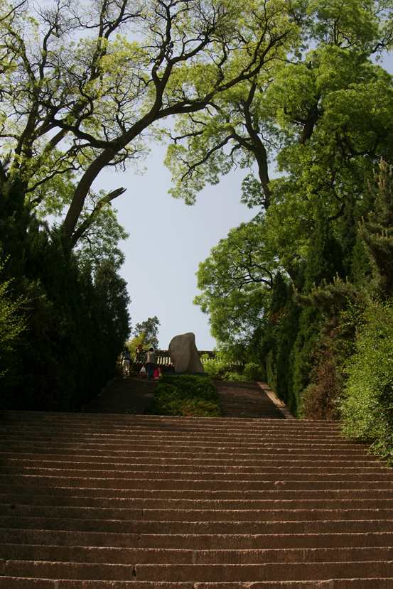 ������ (275)_����.jpg